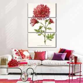 A Classic Botanical I Wall Art