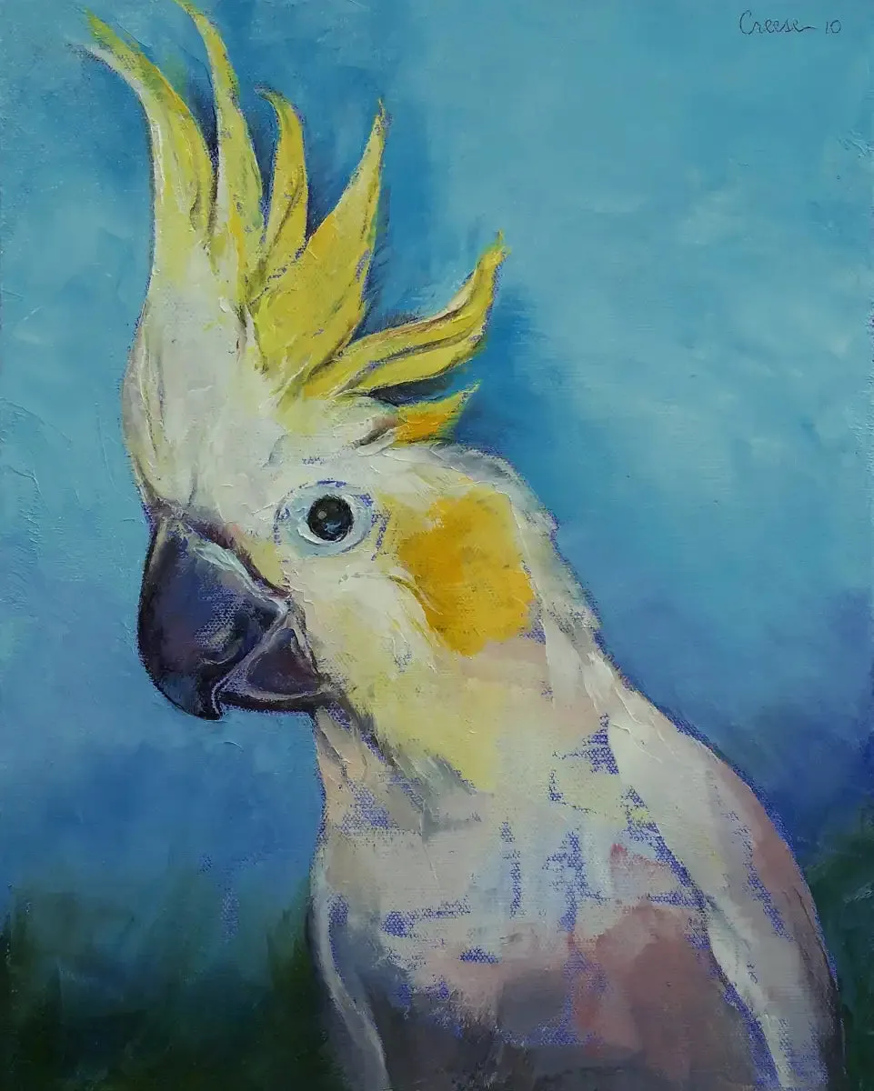 A Cockatoo Wall Art