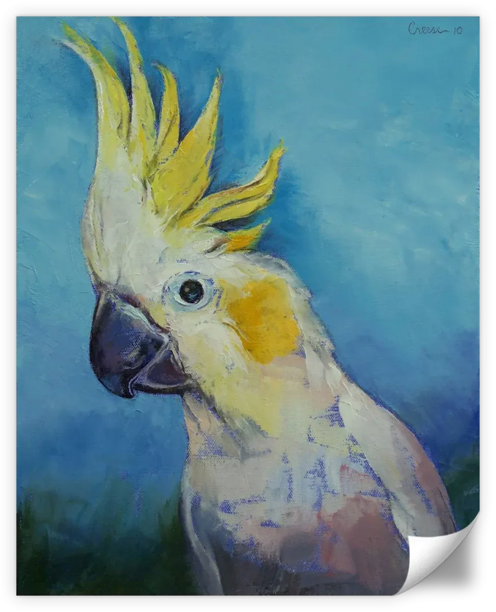 A Cockatoo Wall Art